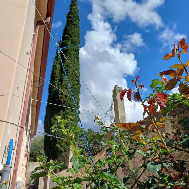 Casa privata in vendita 8