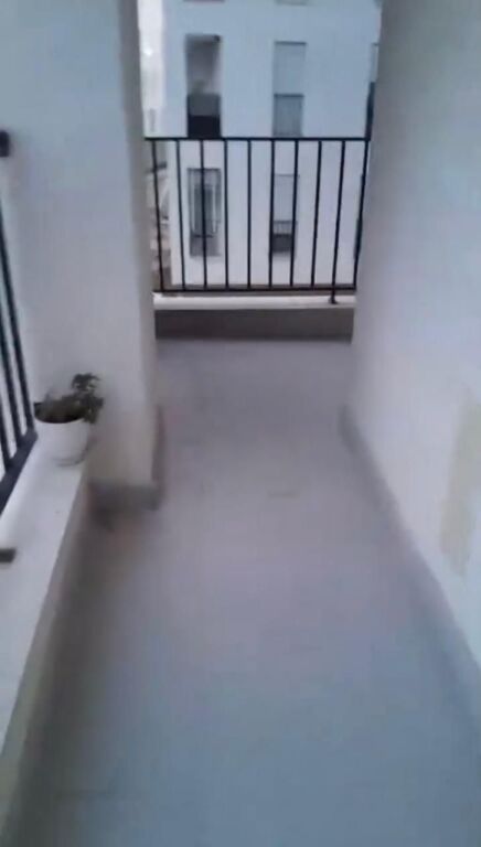 Affitto | Appartamento 2 + 1 | Via 5 Maji | 450 €/mese