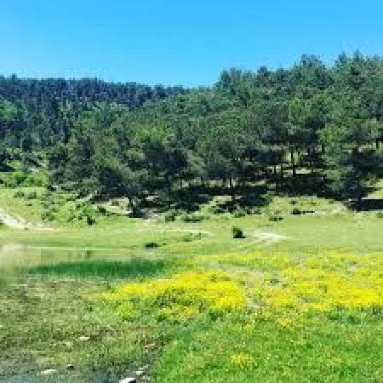 FOR RENT - LAND IN VAQARR