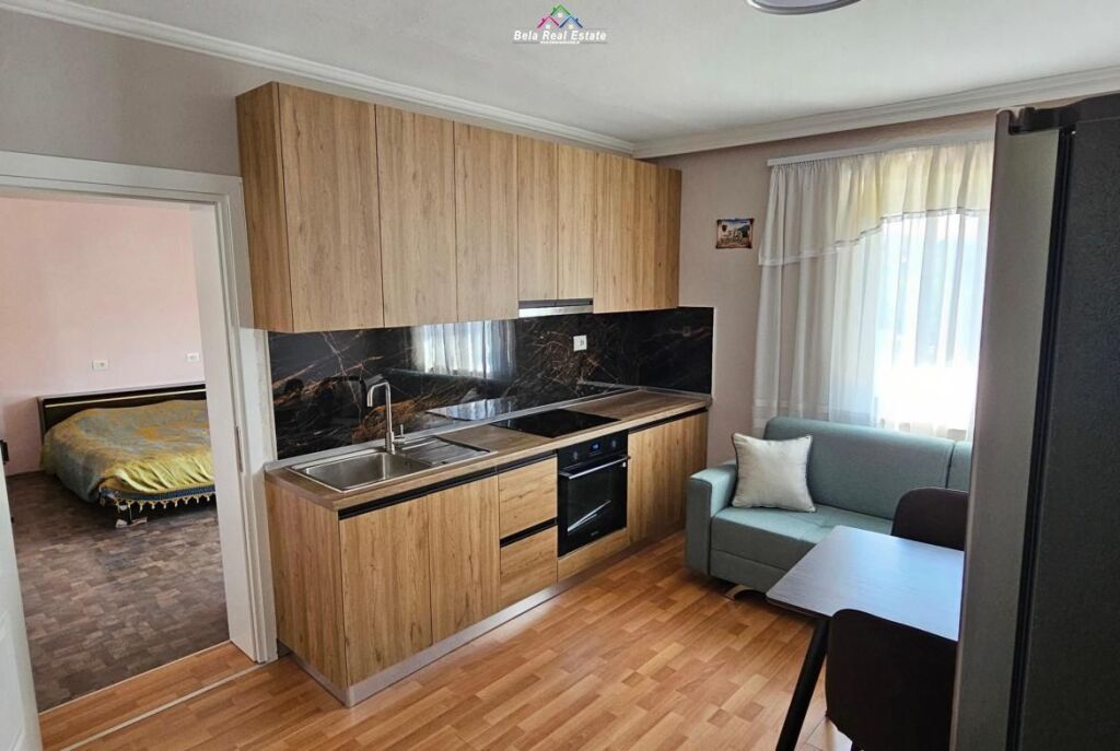 Apartament Me Qera 1+1 Tek Ish-Tregu Elektrik (ID B211468) Tirane