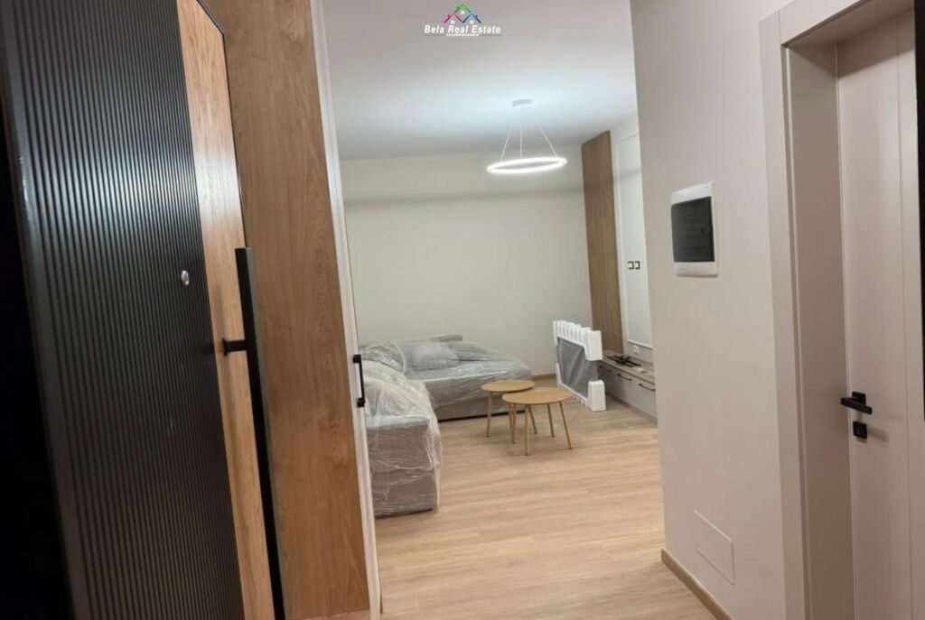 Apartament Me Qera 1+1 Tek Kopshti Zoologjik/Botanik ( ID B2101723) Tirane