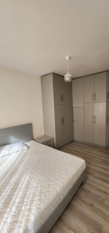 Appartamento in affitto 2+1 Vicino allo Zoo (ID B220530) Tirana
