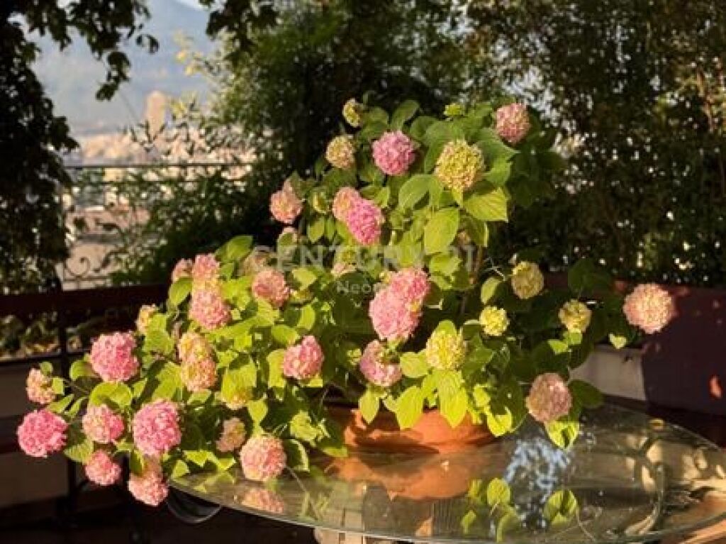 Apartment 3+1+3 Penthouse with Panoramic View from Tirana for Sale