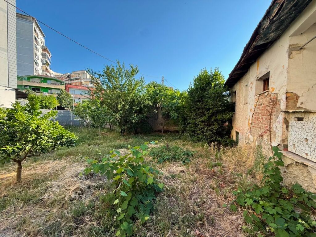 Affittiamo terreno presso l'ex mercato elettrico !