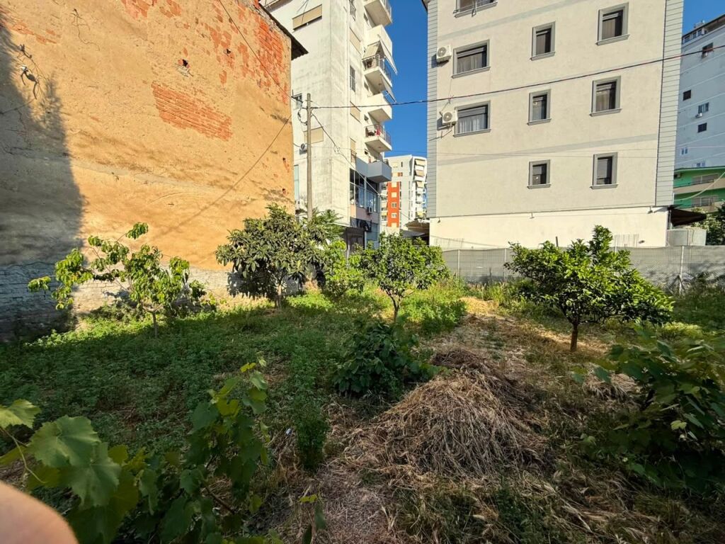 Affittiamo terreno presso l'ex mercato elettrico !