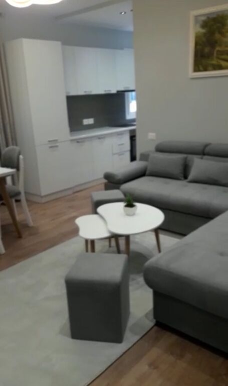 Apartment 2+1 for rent (21 Dhjetori)