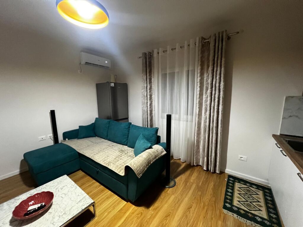 Apartment 1+1 for rent – near the Ballet School !