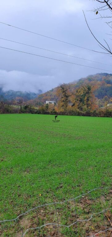 LAND FOR SALE 3500 M2 PETRELE 31,500,000 LEKE  FH-77391