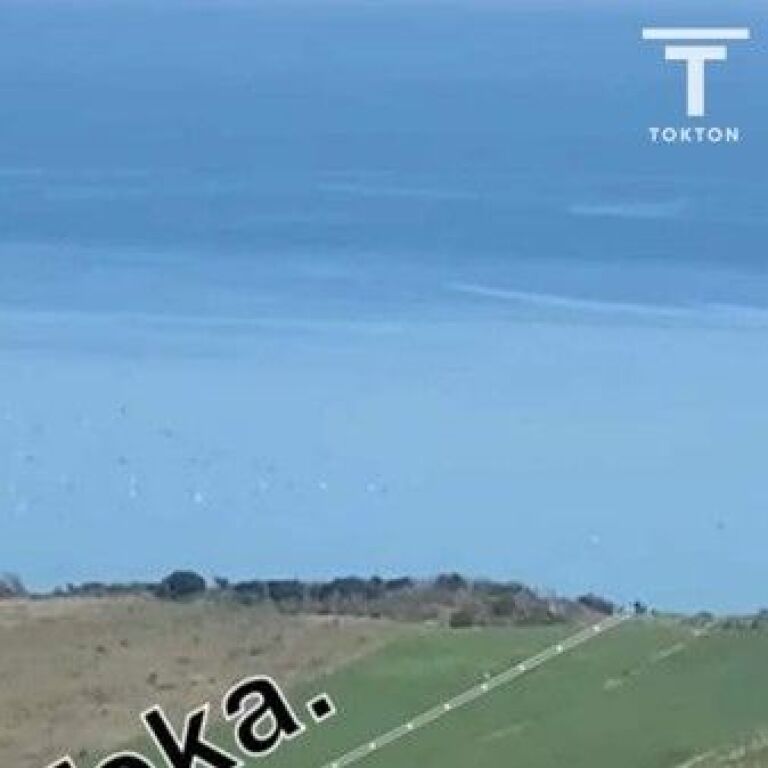 IN VENDITA, TERRENO, CAPO DI RODONI