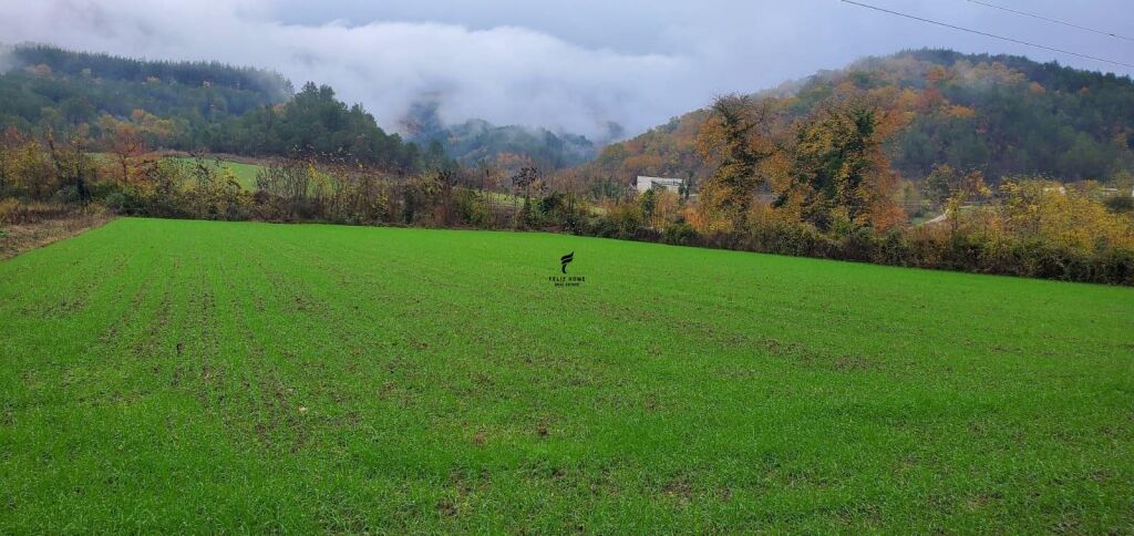 LAND FOR SALE 3500 M2 PETRELE 31,500,000 LEKE  FH-77391