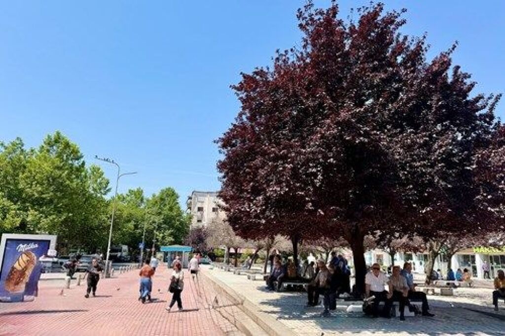 AMBIENTE IN AFFITTO --XHAMLLIKU