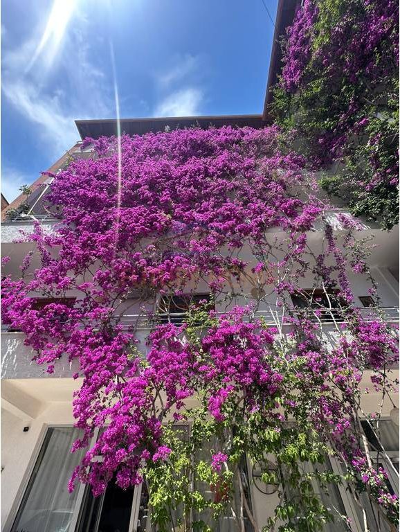 Shitet, Hotel 5-Katësh, Plazh Iliria,Durres