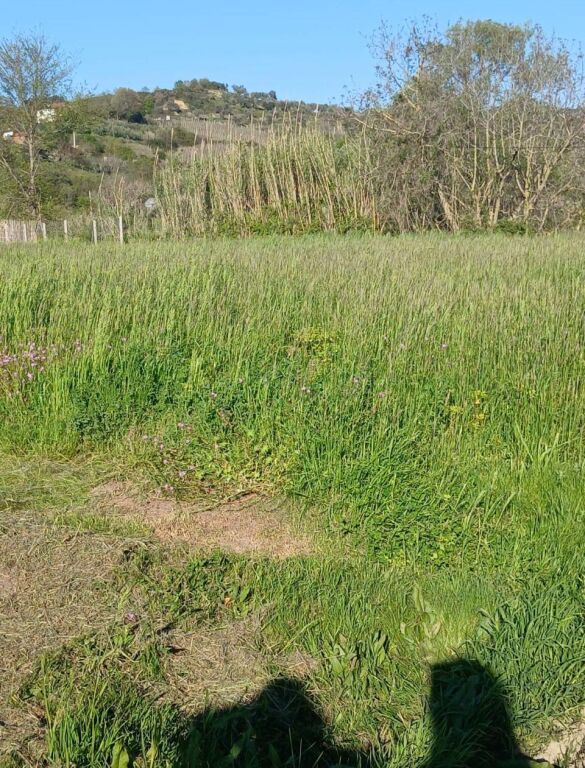 Land for sale in Ndroq
