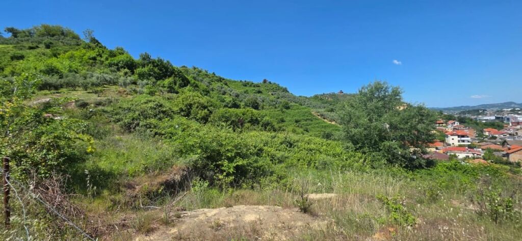 Land for Sale in Yrshek / Near the Eye Clinic