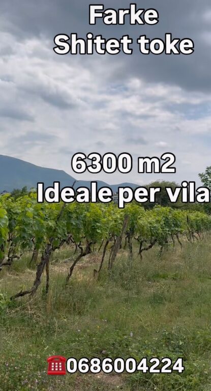 Land for sale in Farke Daxhi street 6300 m2