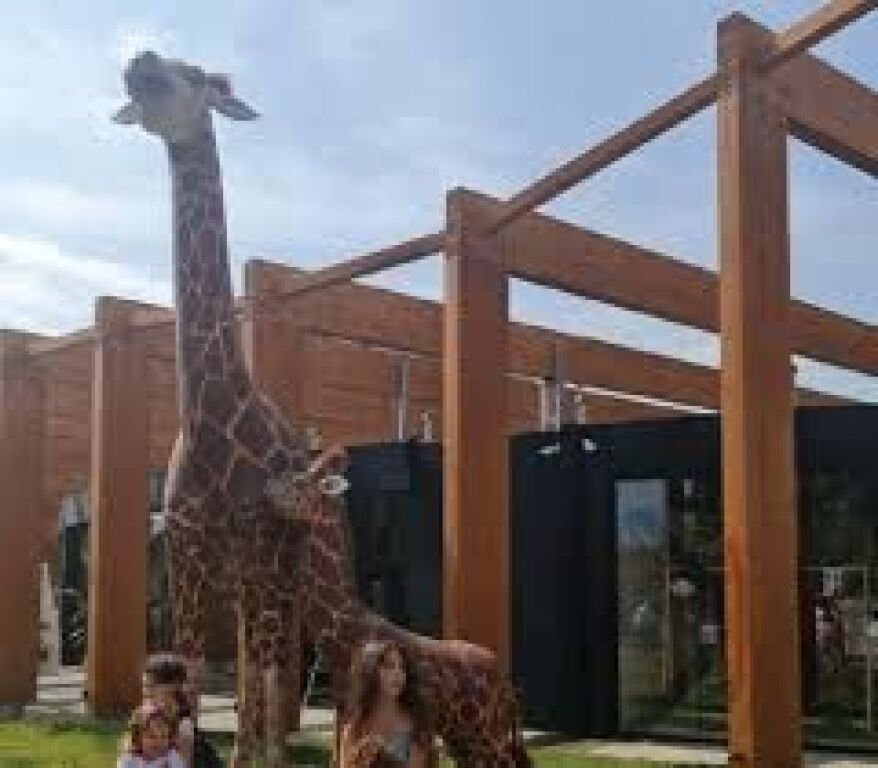 QERA,APARTAMENT 2+1,KOPSHTI ZOOLOGJIK
