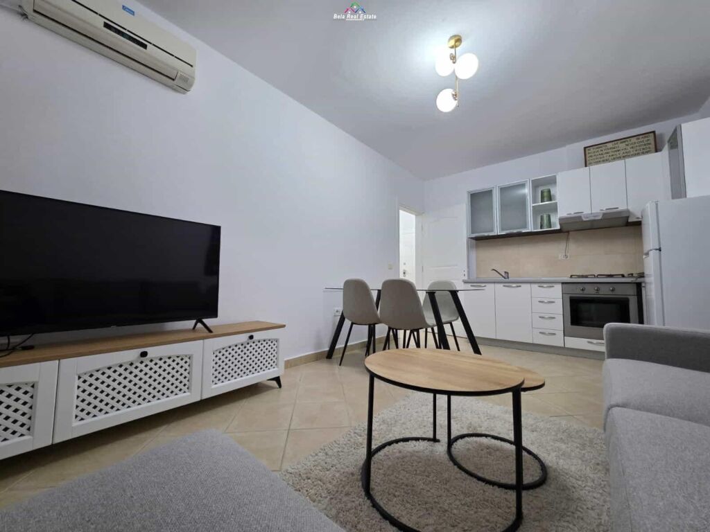 Apartment For Rent 1+1 Near Old Exhibition (ID B2101346) Tirana