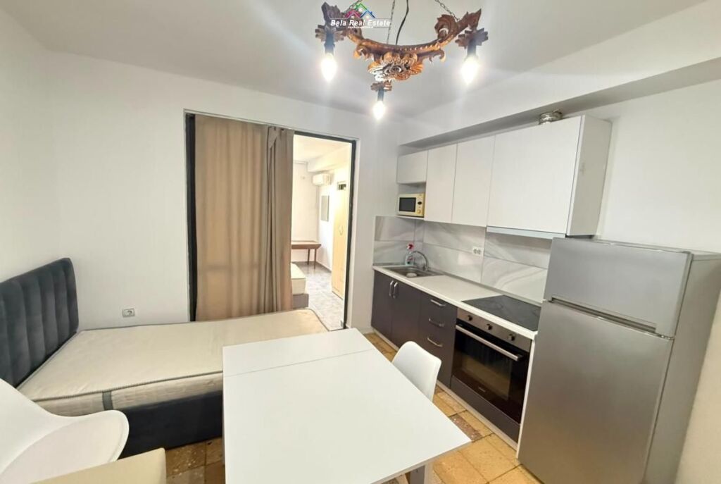 Apartament Me Qera 1+1 ne Brryl (ID B211365) Tirane