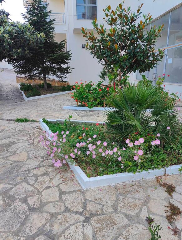 SHITET GARAZHD 23 M2 SHKEMB KAVAJE 13000 EURO