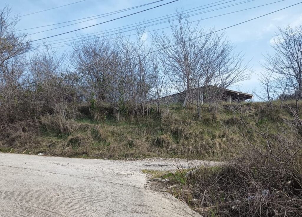 Land for sale in Plepa