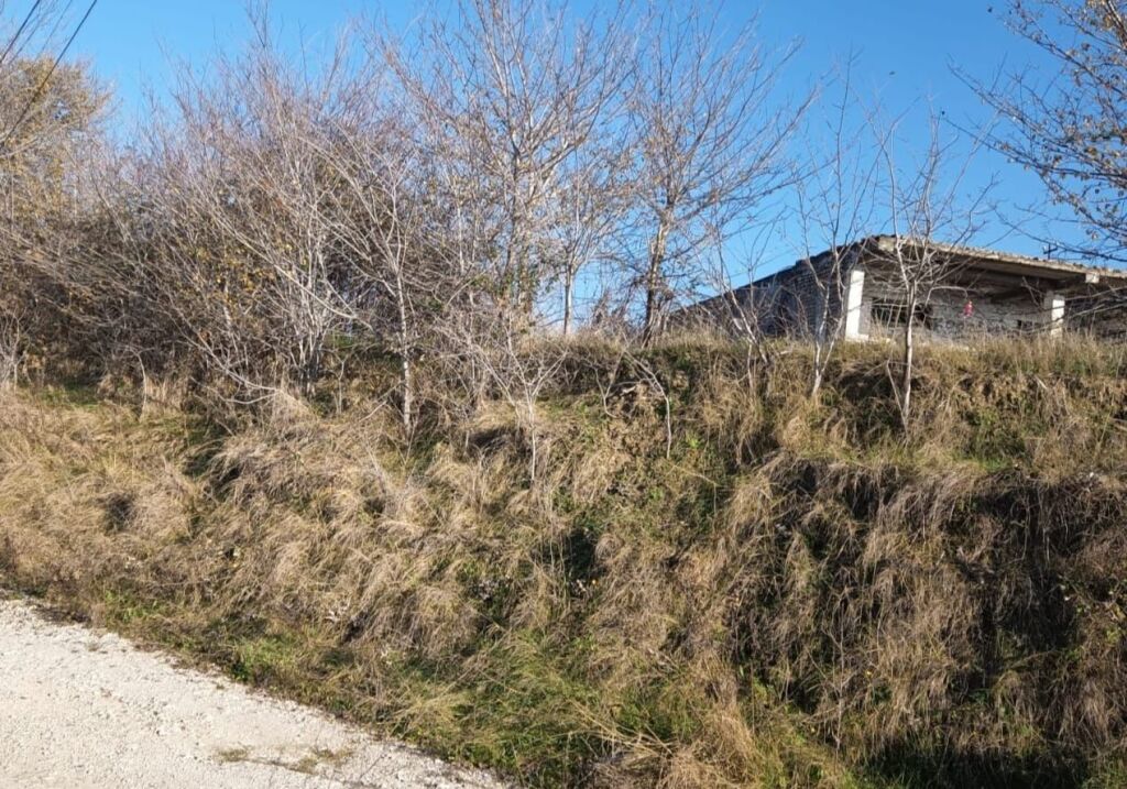 Land for sale in Plepa