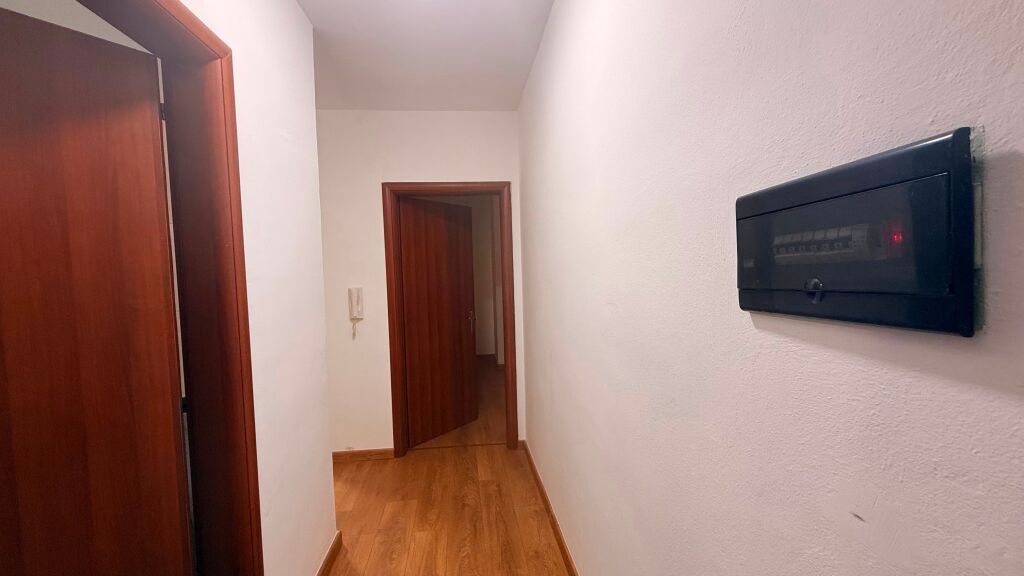 1+1,zoological garden lake,600 euro