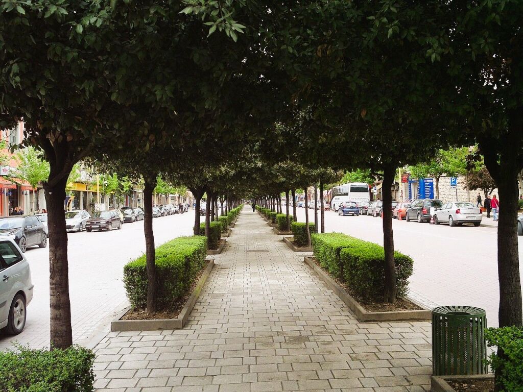 🏙️Premium Shop for Sale on Zogu I Boulevard, Tirana📍