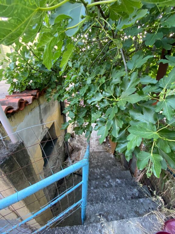 Terreno + Casa con Alto Potenziale di Sviluppo in Vendita