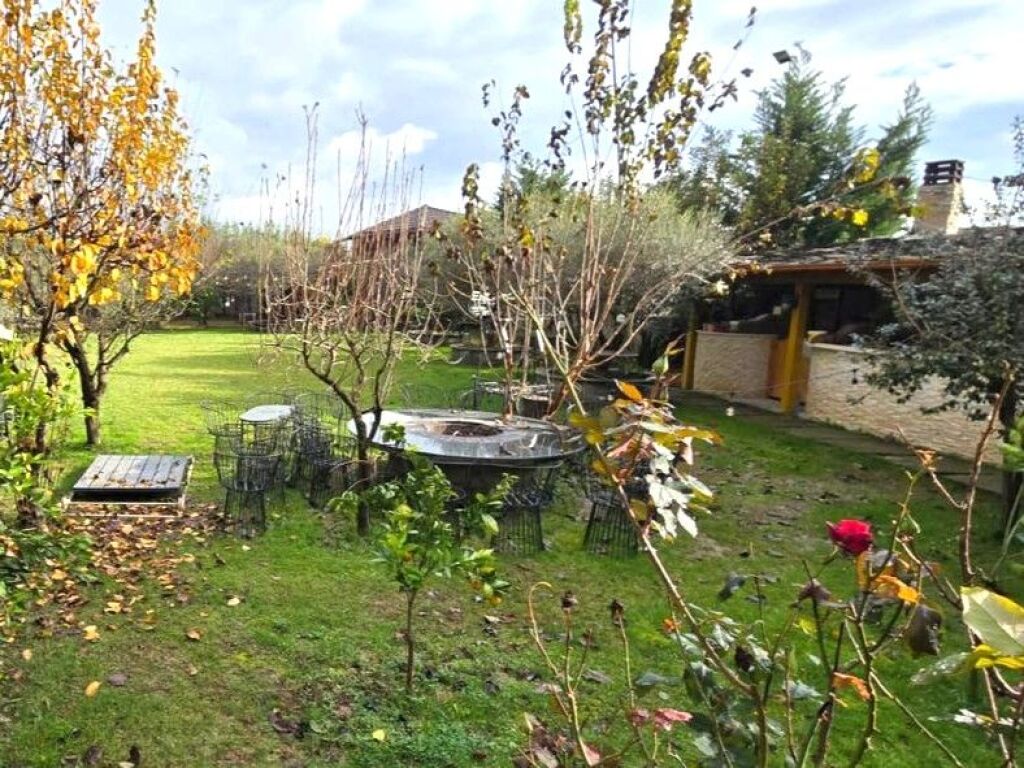 AZIENDA AGRITURISTICA PREMIUM IN AFFITTO VICINO A RINAS