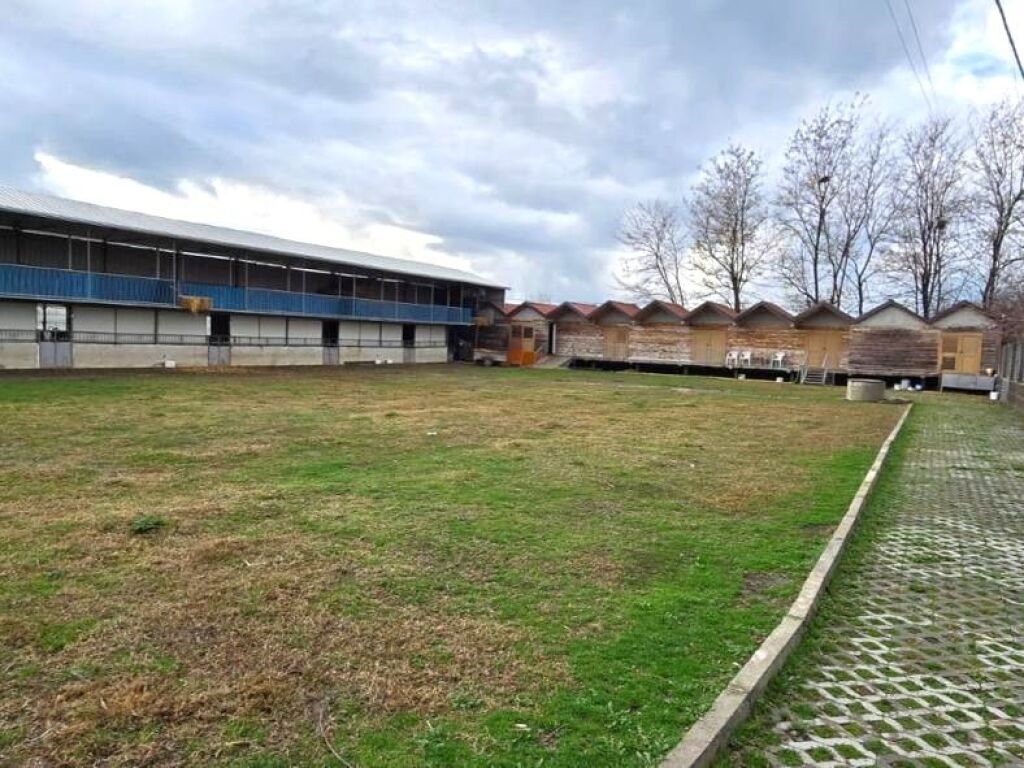 FARM – AGROTURISM WITH VILLAS AND LAND FOR SALE NEAR RINAS
