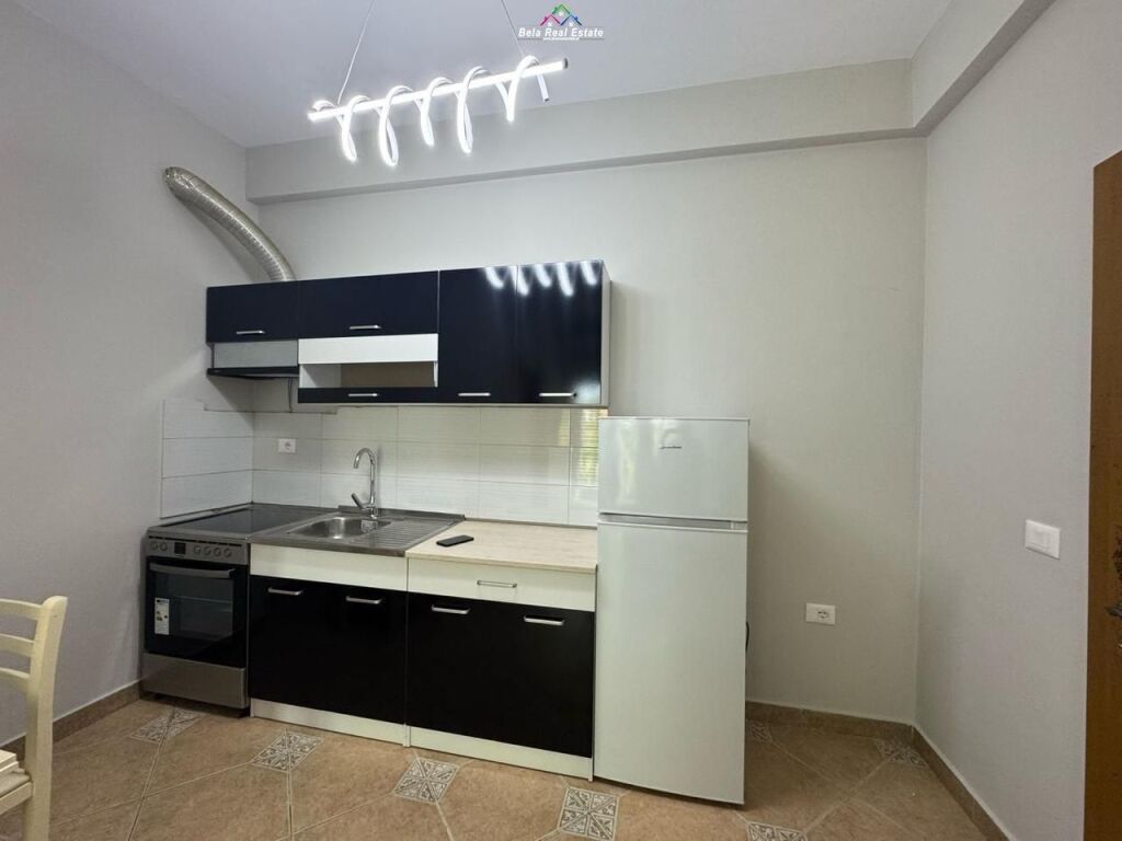Apartament Me Qera 1+1 Tek Vilat Gjermane (ID B2101398) Tirane