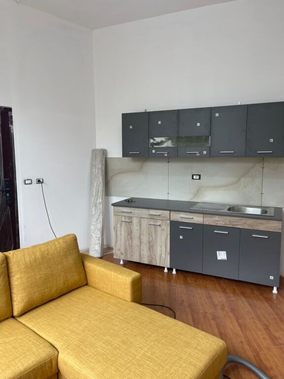 Apartment 1+1 for rent at the Dry Lake