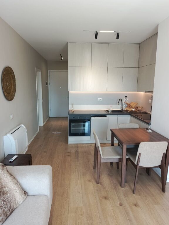 Apartment 1+1 for rent