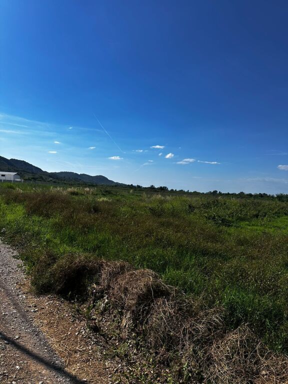 Land (field) for sale, Rinas