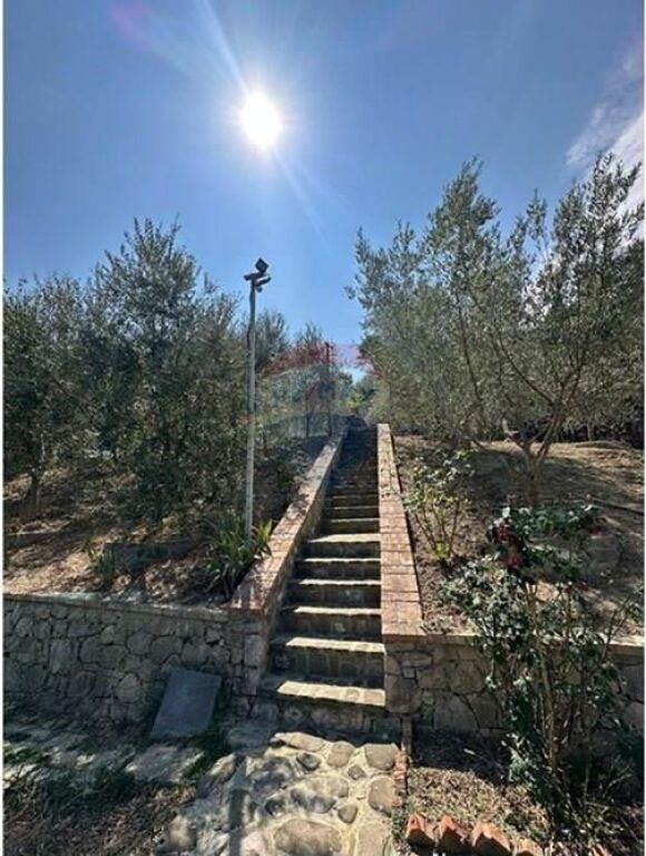 Villa in affitto, Bërzhitë