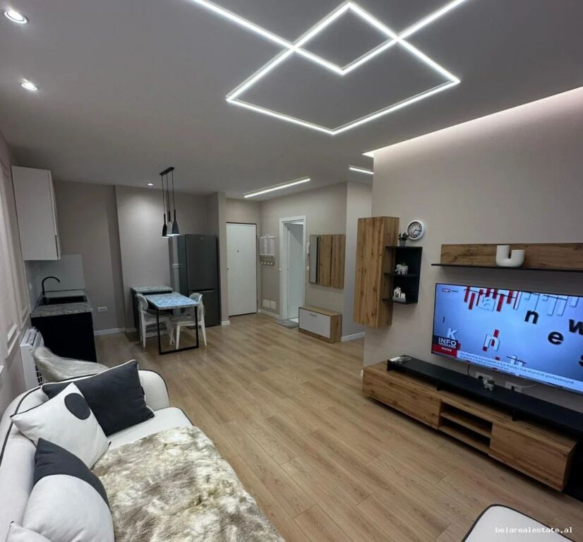 Appartamento In Affitto 1+1 A Univers City (ID B2101758) Tirana