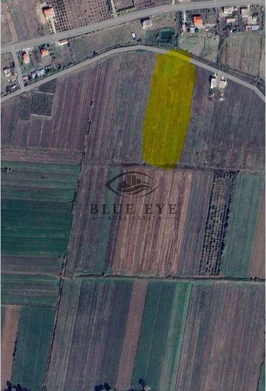 TERRENO IN VENDITA A SPILLE – OTTIMA OPPORTUNITÀ DI INVESTIMENTO