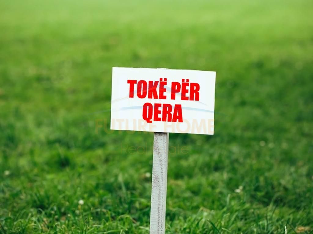 Qira, Toke, TEG