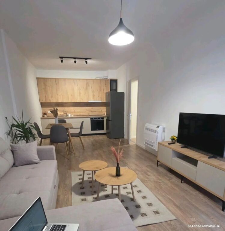 Apartament Me Qera 1+1 Tek Rruga Dritan Hoxha ( ID B2101759) Tirane