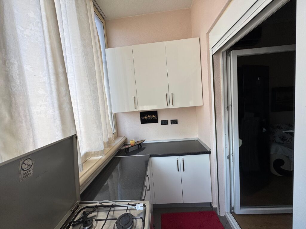 Apartment 2+1 for Rent at Big Market Eleonora