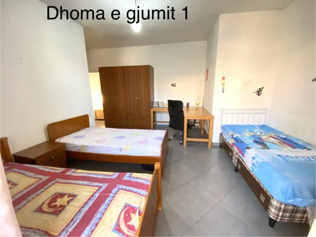 Appartamento 2+1 in affitto a Shkoze