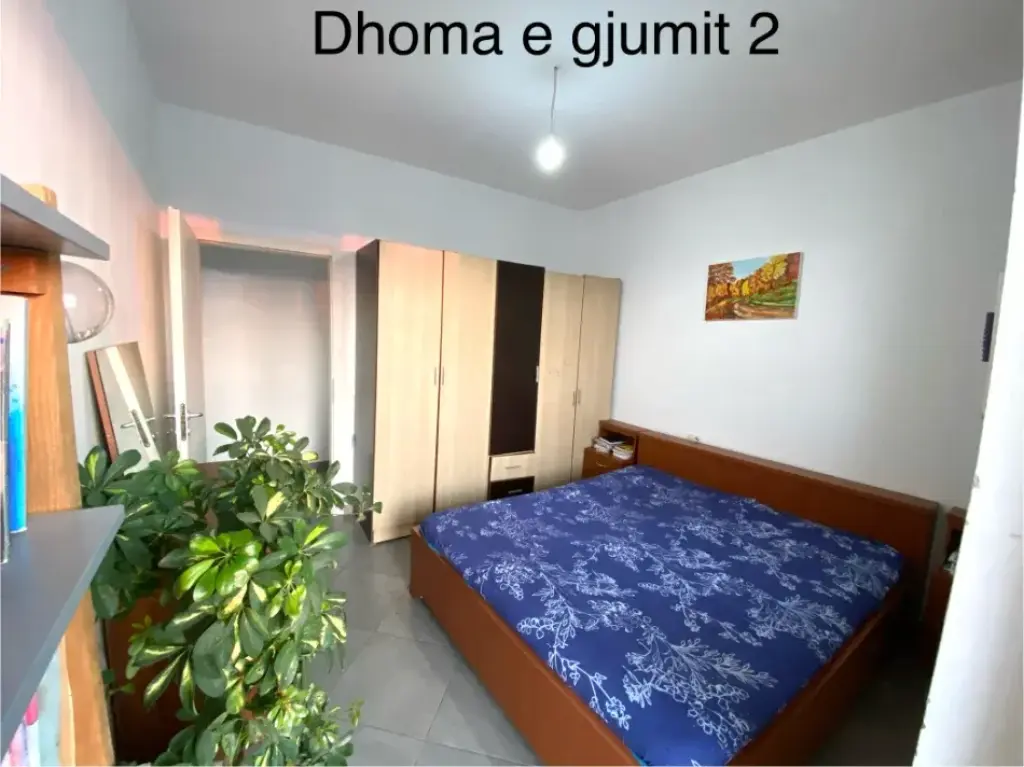 Appartamento 2+1 in affitto a Shkoze