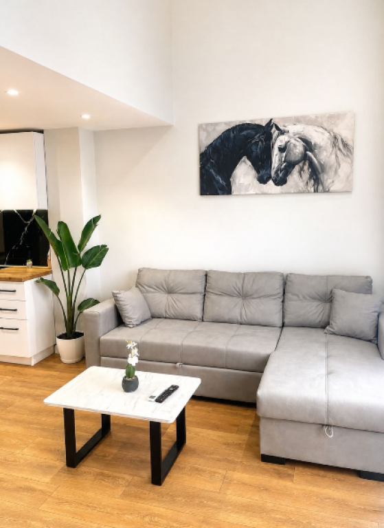 🏡 SHITET DUPLEX – LIQENI I THATË
