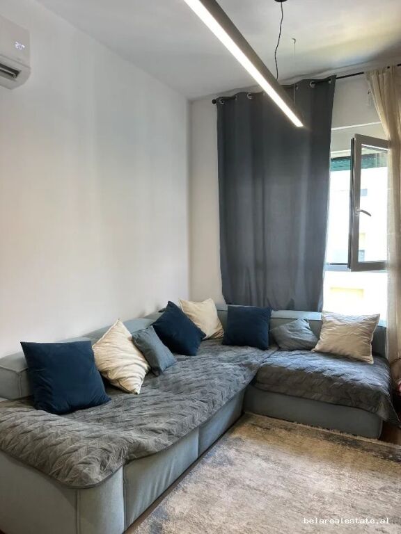 Appartamento In Affitto 2+1 A Ali Dem (ID B2201965) Tirana