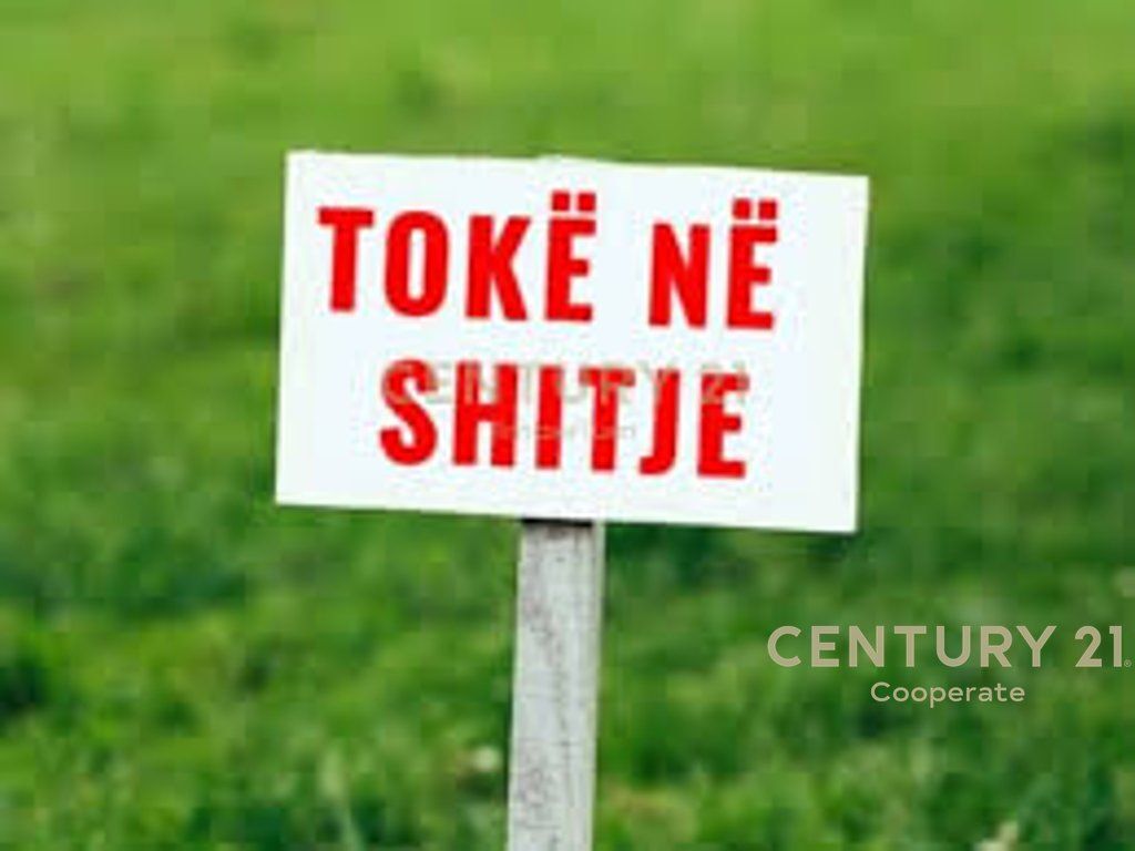 SHESIM TOKE ME BONITET 10 NE DARZEZE