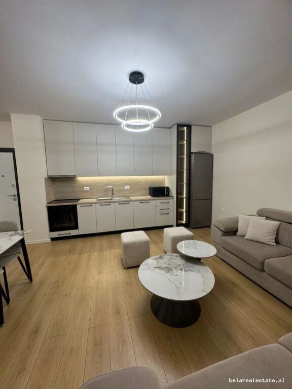 Apartment For Rent 1+1 at New Boulevard (ID B2101767) Tirana