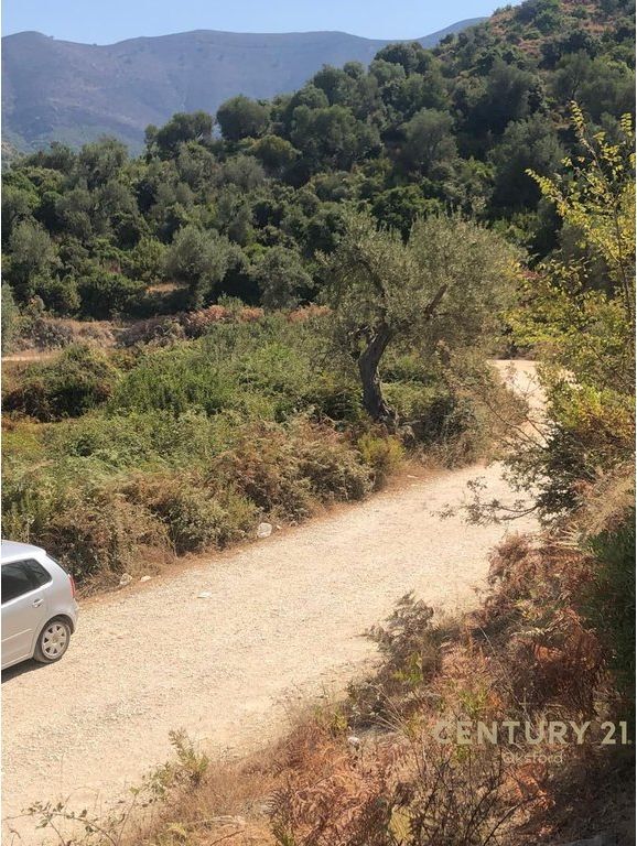 TERRENO IN VENDITA VICINO AL MARE – 3000 m², BUNEC