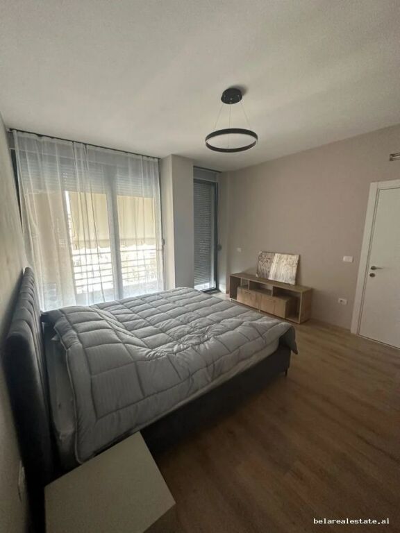 Apartament Me Qera 1+1 Tek Ali Demi (ID B2101770) Tirane