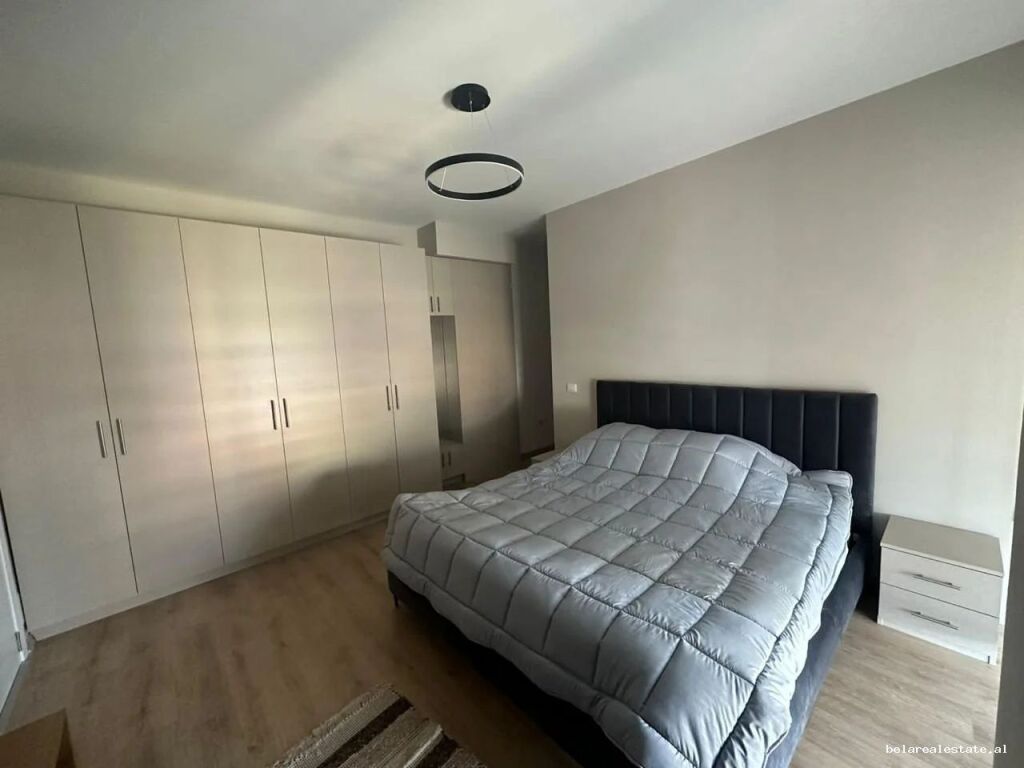 Apartament Me Qera 1+1 Tek Ali Demi (ID B2101770) Tirane