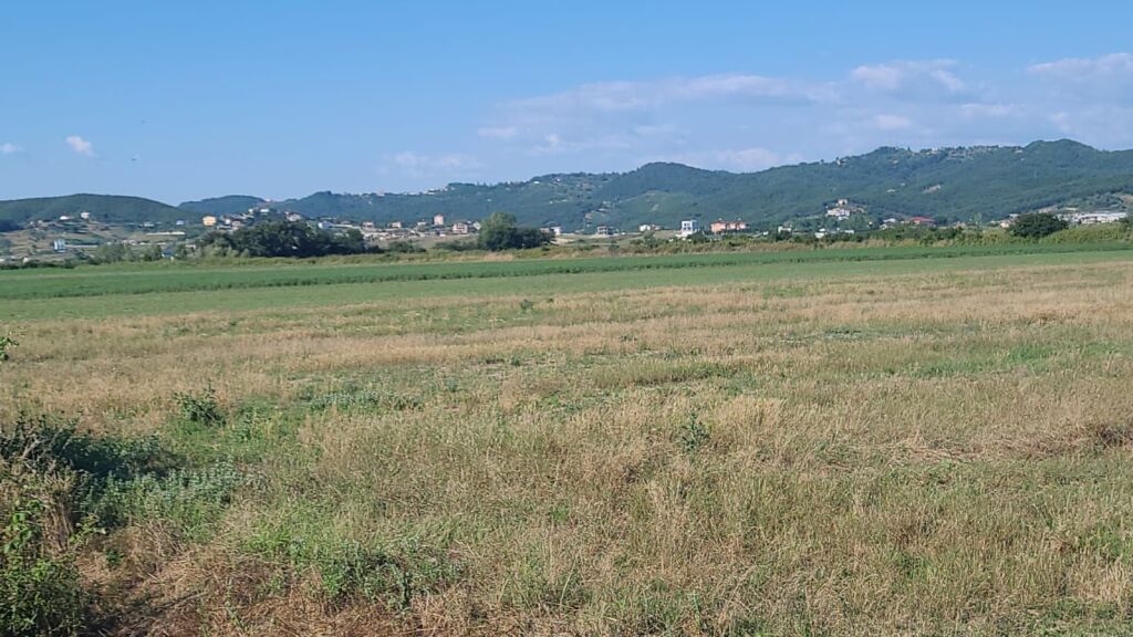 Terreno in vendita nella Baia di Lalzi con documenti regolari
